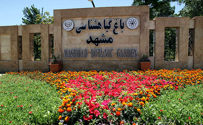 مهدی شاکریان-دبیر ریاضی کنکور تجربی