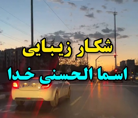 مهدی شاکریان-دبیر ریاضی کنکور تجربی