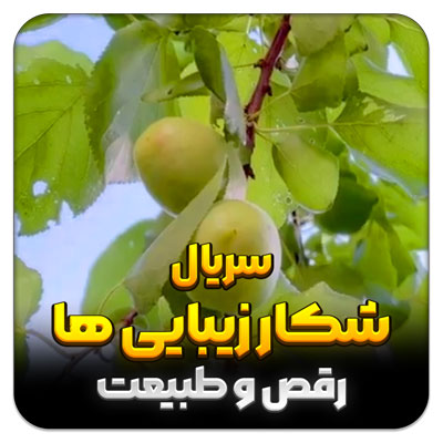مهدی شاکریان-دبیر ریاضی کنکور تجربی